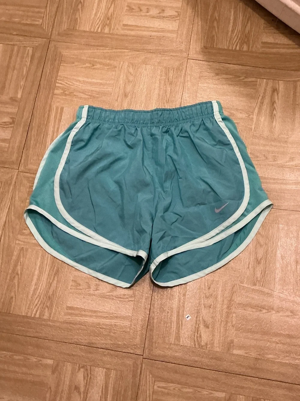 Nike Teal Gym Shorts with Light Mint Trim - Women